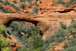 PICTURES/Vultee Arch Hike/t_Vultee Arch3.JPG